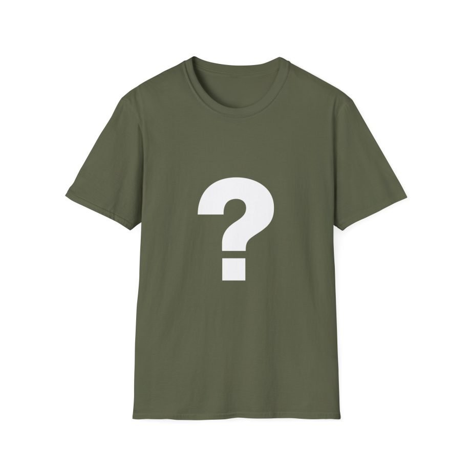 The Front Bottoms Mystery  Unisex Softstyle T-Shirt