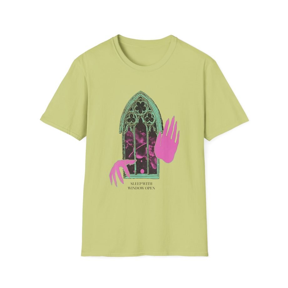 Dermot Kennedy Unisex Softstyle T-Shirt
