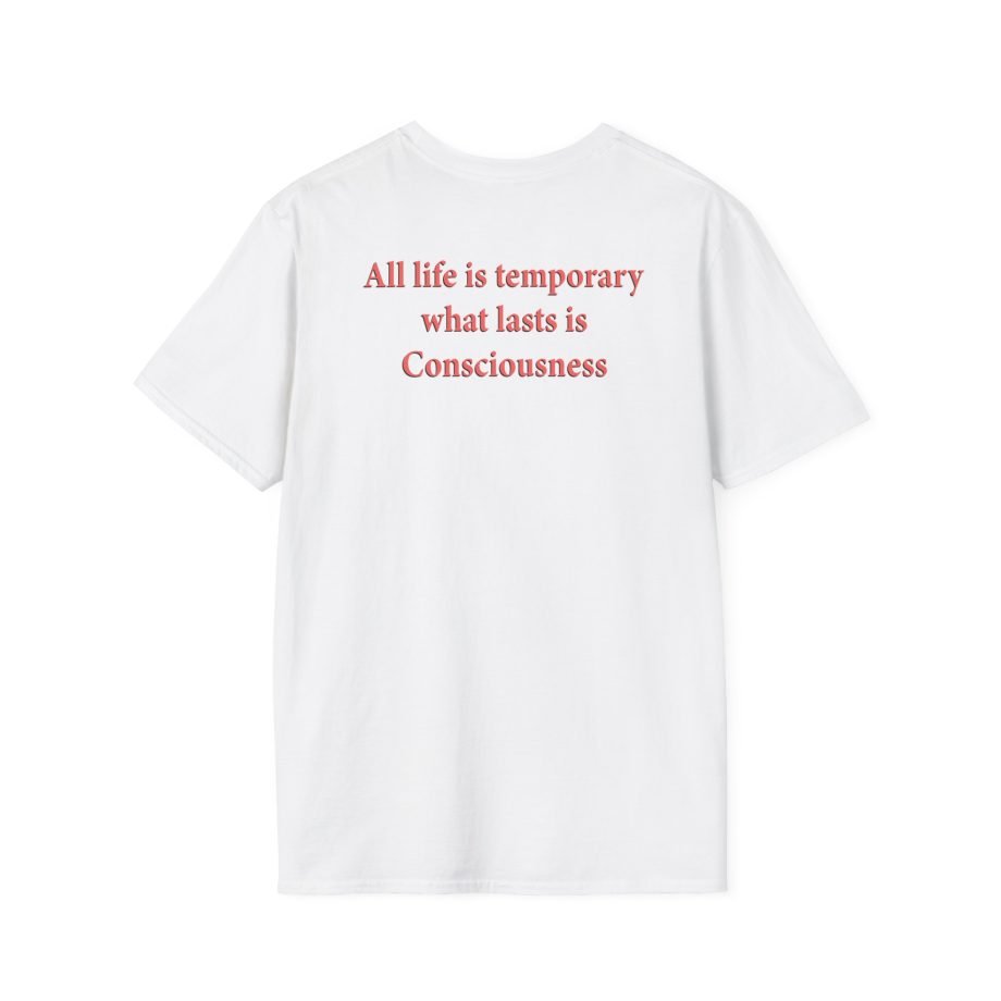 Blood Incantation All Life Is Temporary Unisex Softstyle T-Shirt