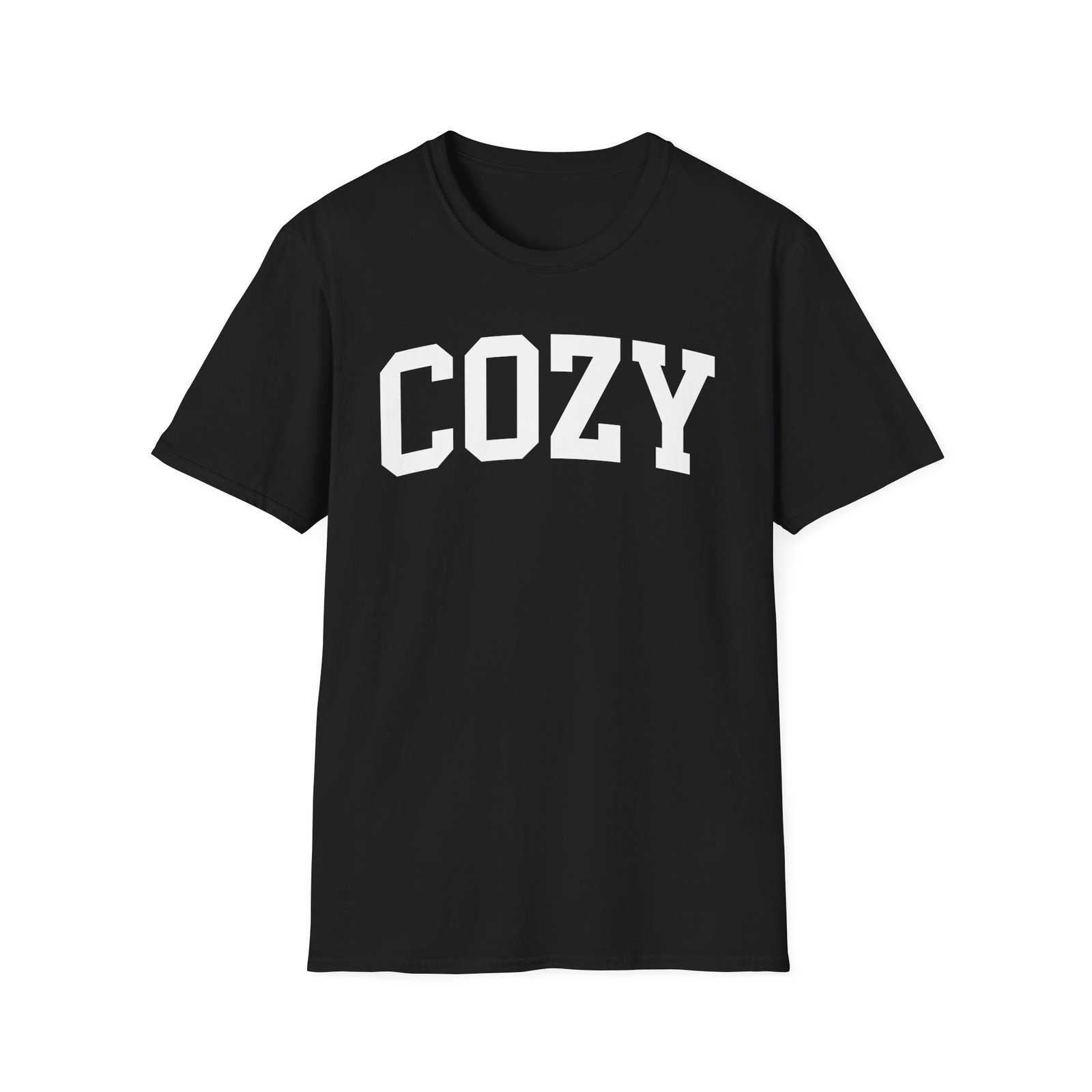 Dan and Shay Cozy Unisex Softstyle T-Shirt