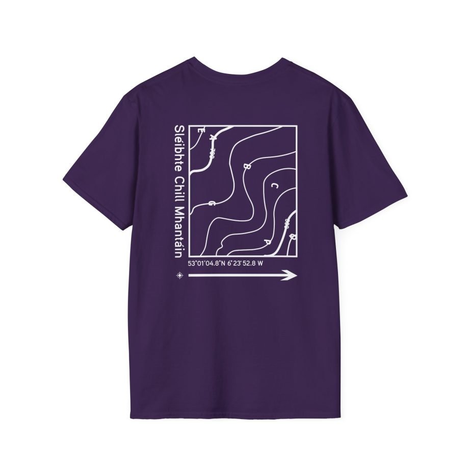 Dermot Kennedy Unisex Softstyle T-Shirt