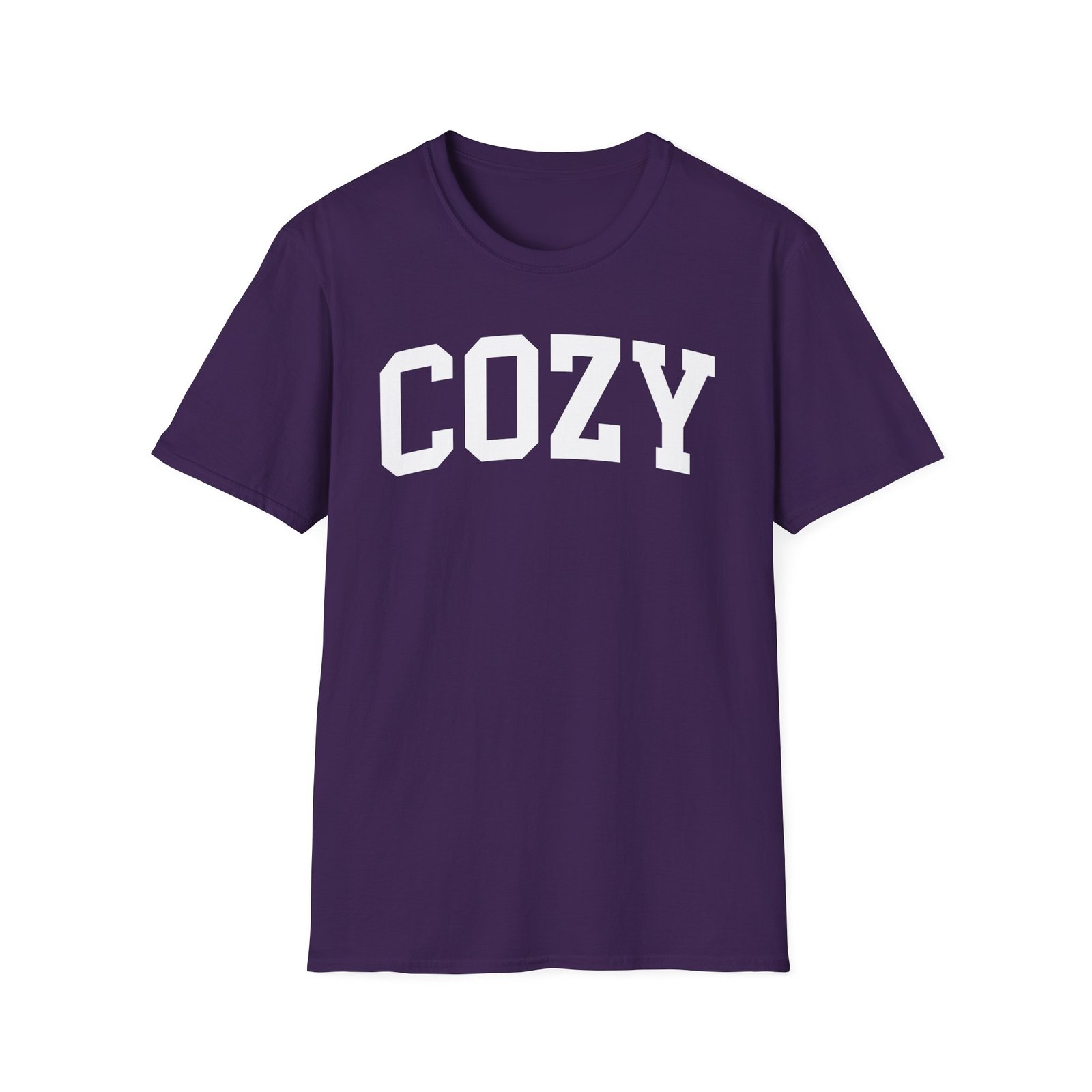 Dan and Shay Cozy Unisex Softstyle T-Shirt