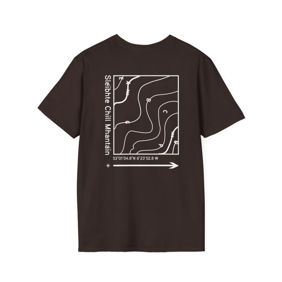 Dermot Kennedy Unisex Softstyle T-Shirt