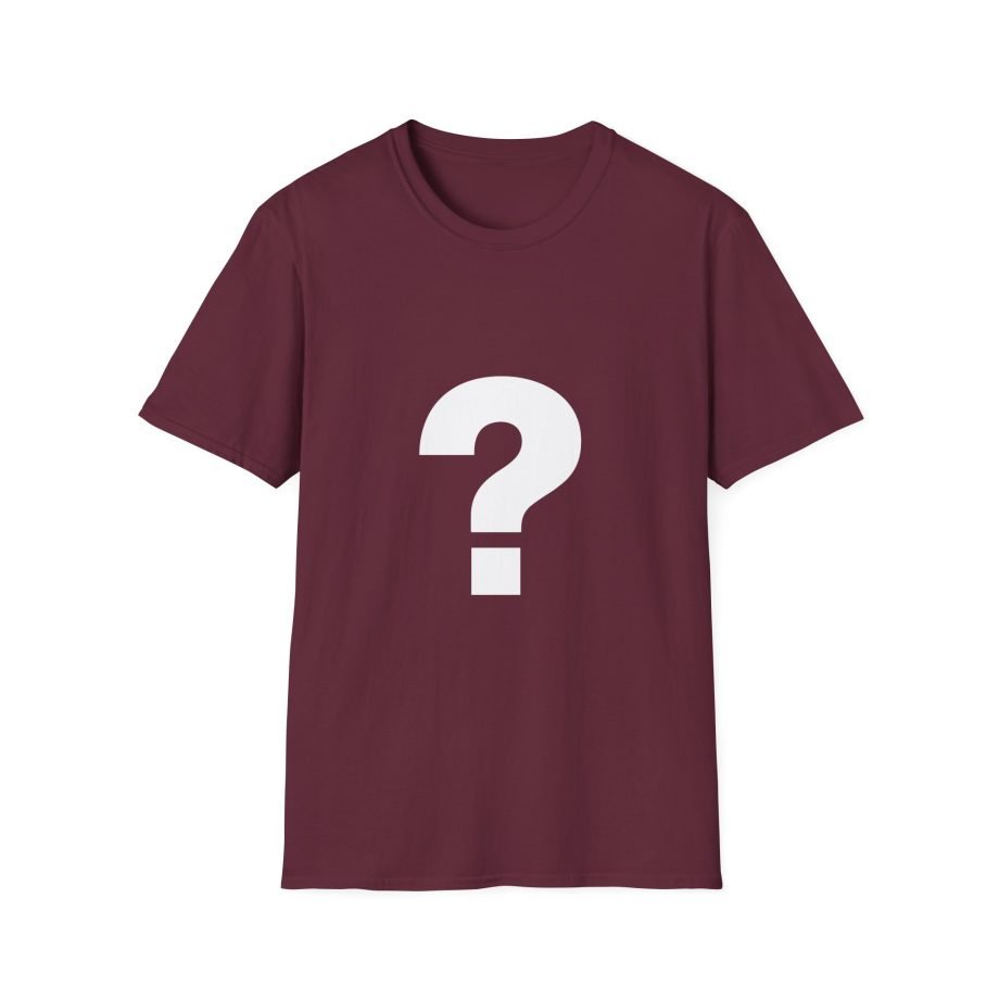 The Front Bottoms Mystery  Unisex Softstyle T-Shirt