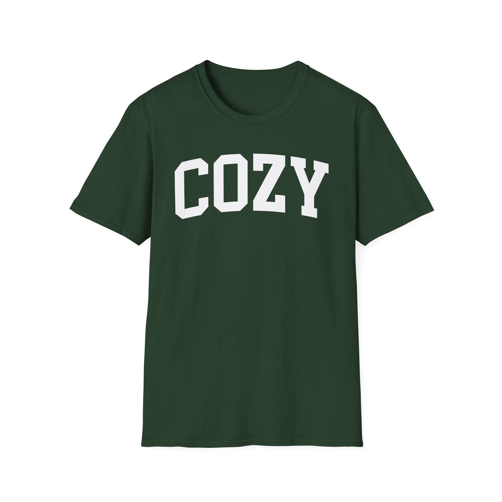 Dan and Shay Cozy Unisex Softstyle T-Shirt