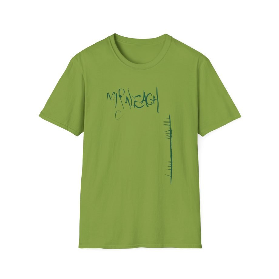 Dermot Kennedy Misneach Festival Event Unisex Softstyle T-Shirt