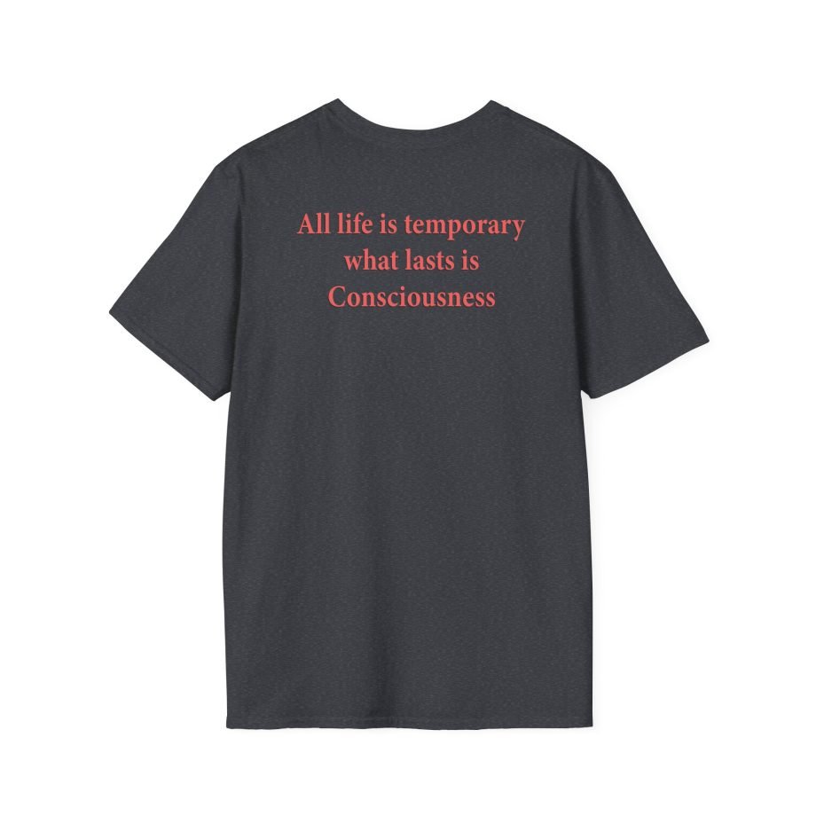 Blood Incantation All Life Is Temporary Unisex Softstyle T-Shirt
