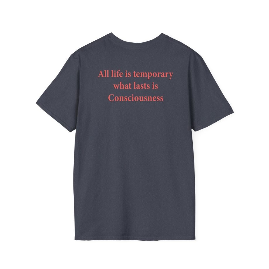 Blood Incantation All Life Is Temporary Unisex Softstyle T-Shirt