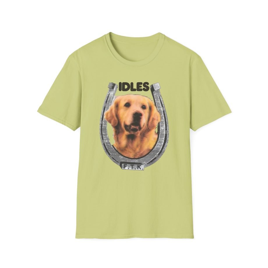 Idles Lab Raglan Unisex Softstyle T-Shirt