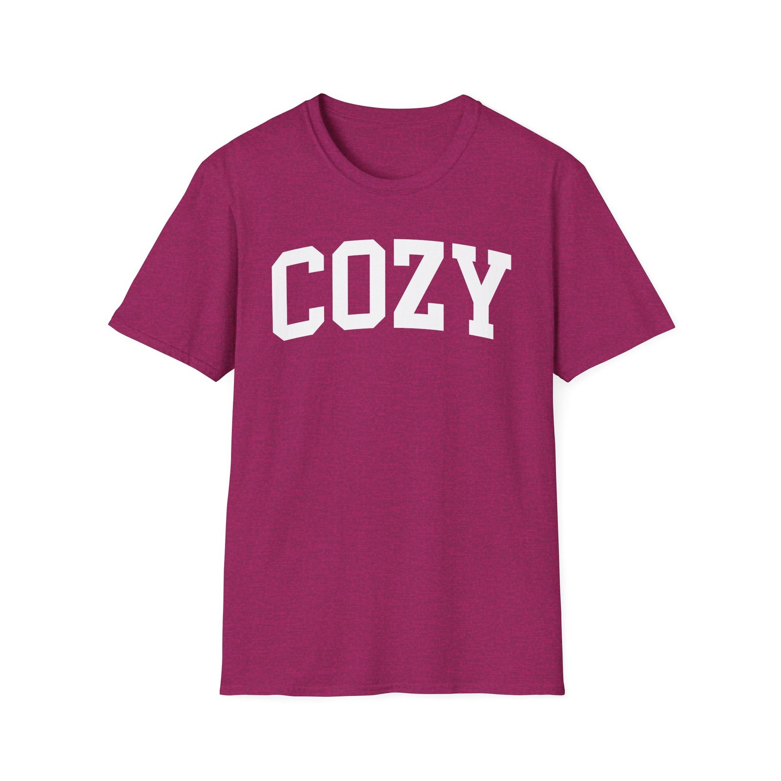Dan and Shay Cozy Unisex Softstyle T-Shirt