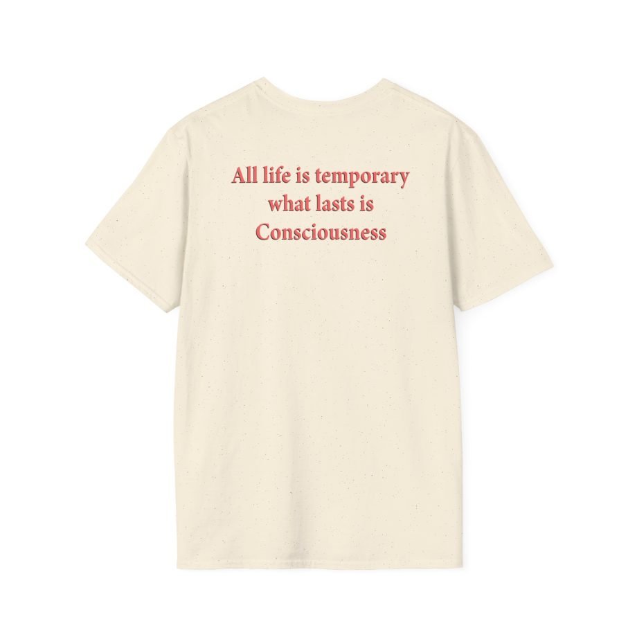 Blood Incantation All Life Is Temporary Unisex Softstyle T-Shirt