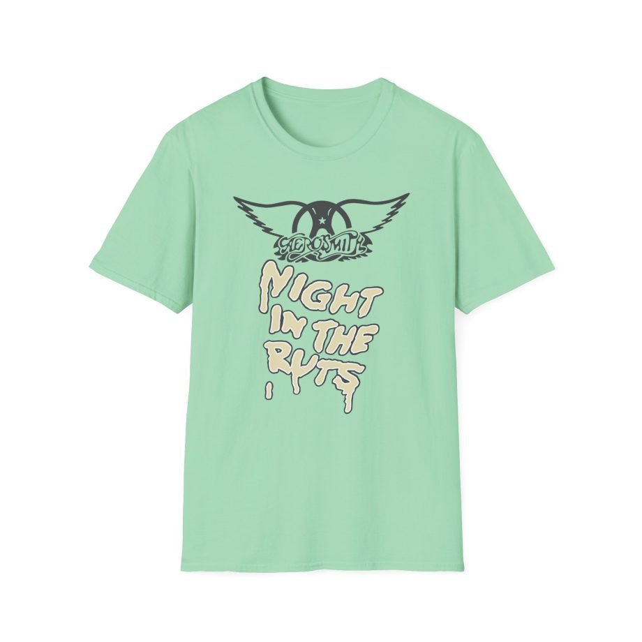 A Right in the Unisex Softstyle T-Shirt
